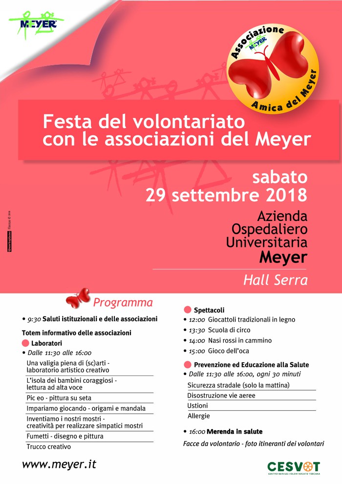 Locandina festa del volontariato Meyer - 2018