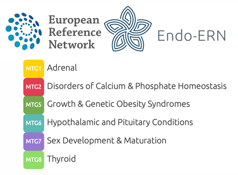 Logo ENDO - ERN 