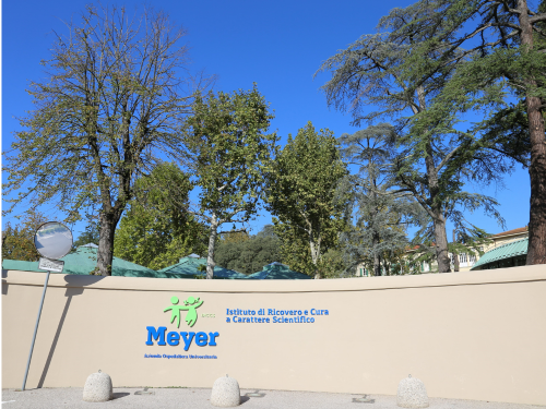 Foto muro esterno ospedale Meyer