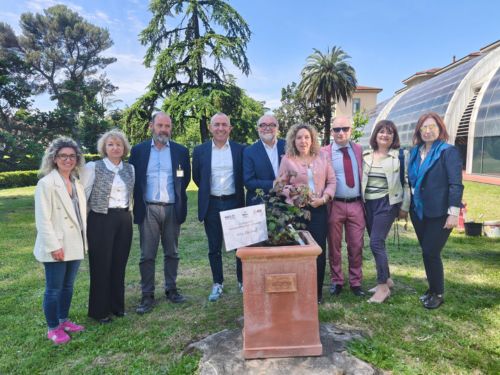 Foto cerimonia di consegna rosa creata ad hoc per la giornata internazionale degli infermieri